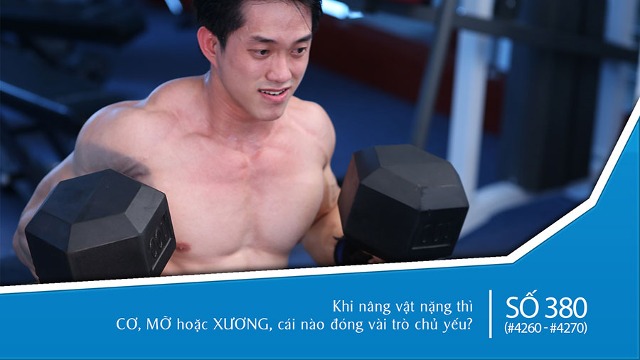 Liệu tay sau có thể tập cùng với tay trước trong một buổi?