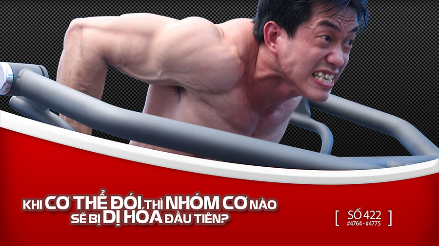 Ngực nở eo thon mông căng tròn: Đích cuối cùng của nữ gymer