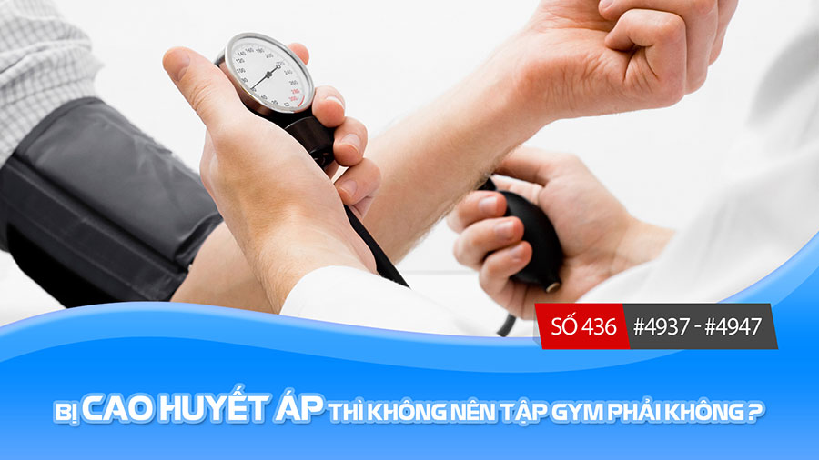 Gymer đi tìm phương pháp tập luyện phù hợp với bản thân