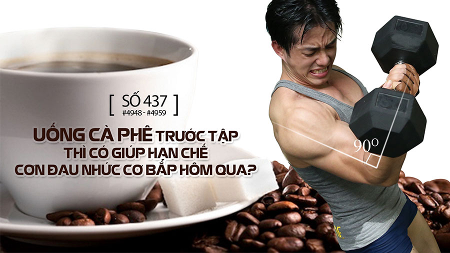 Con gà: Câu chuyện dài tập, li kì được Duy Nguyễn phân tích