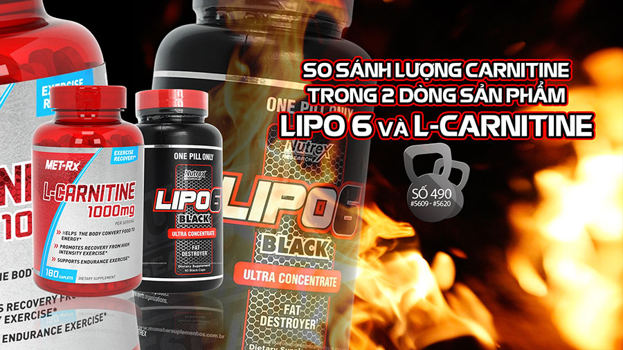 So sánh lượng carnitine trong 2: Lipo 6 và L-Carnitine