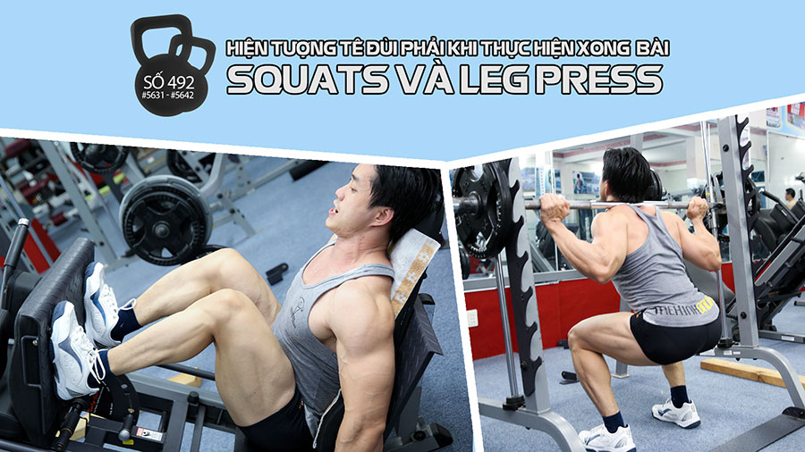 Máy V-Squat có thể thay thế máy Leverage-Squats không?