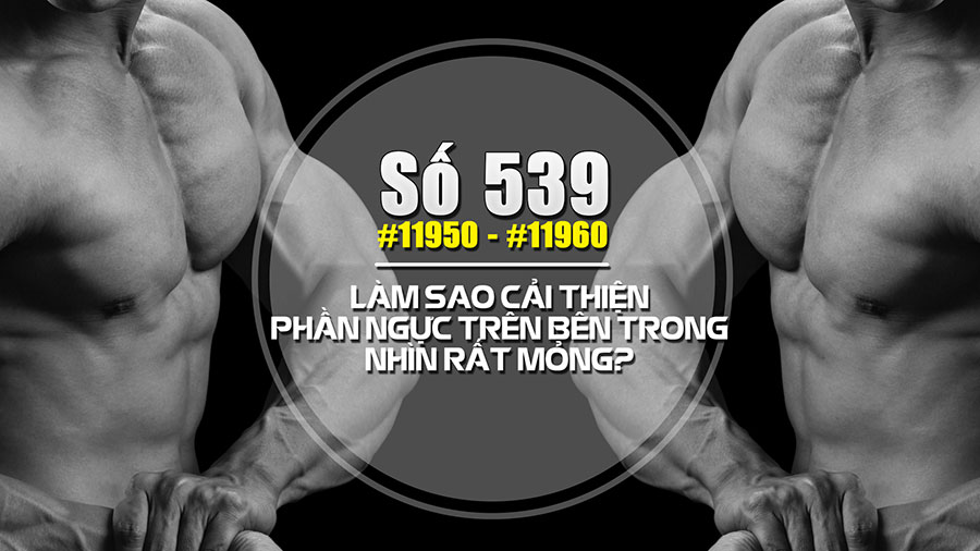 Hỏi đáp thể hình 539 - Mỡ - Cholesterol ảnh hưởng đến tim mạch? - THOL