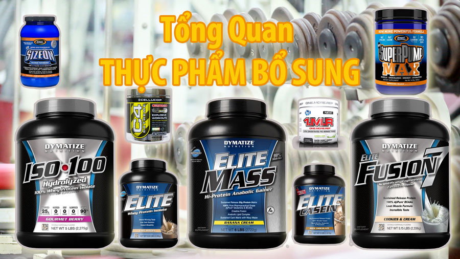 Thực Phẩm Bổ Sung Supplement An Toàn Hiệu Quả GYM FITNESS