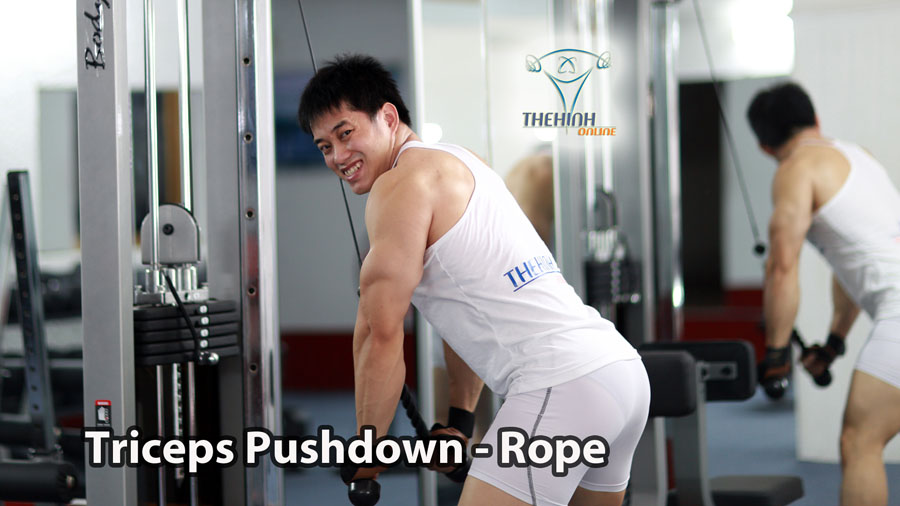 Cắt nét giảm mỡ cơ tam đầu bắp tay sau Rope Triceps Pushdown