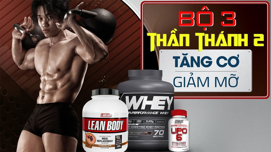 Bộ 3 thần thánh tăng cơ giảm mỡ khi tập gym