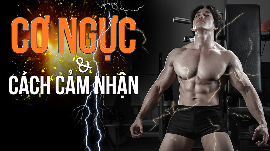 Cơ ngực và cách cảm nhận cơ ngực tốt nhất khi tập luyện