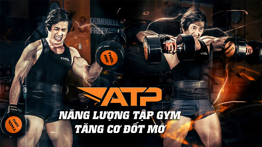 ATP - Năng lượng tập gym - Tăng cơ đốt mỡ - Duy Nguyễn - THOL