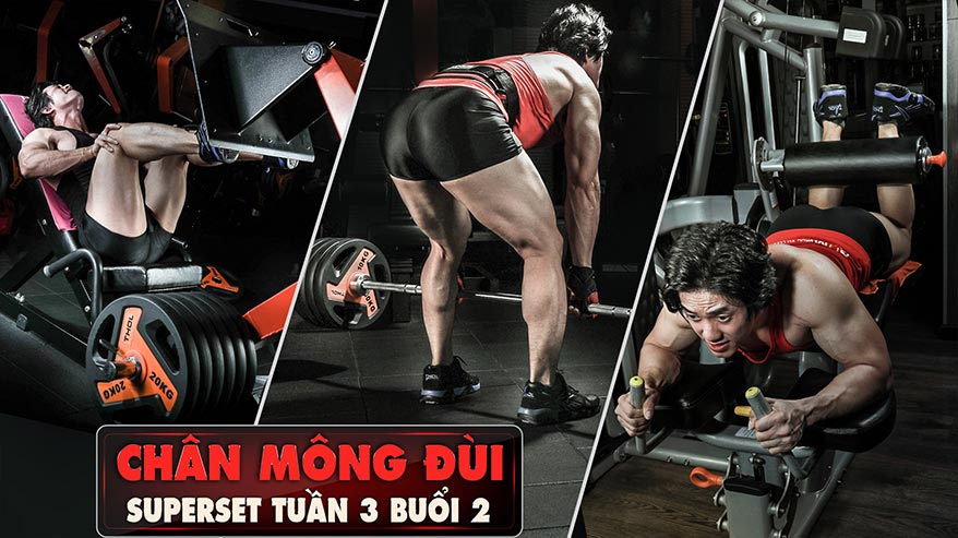 Superset -Tuần 3 buổi 2 - Chân, mông, đùi cường độ cao -THOL