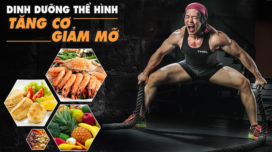 Dinh dưỡng cho gymer người tập thể hình tăng cơ giảm mỡ