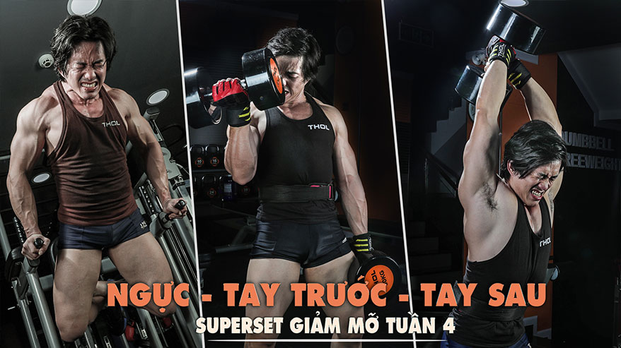 Superset - Tuần 4 - Extendedset với cơ Ngực, Tay trước, Tay sau - THOL