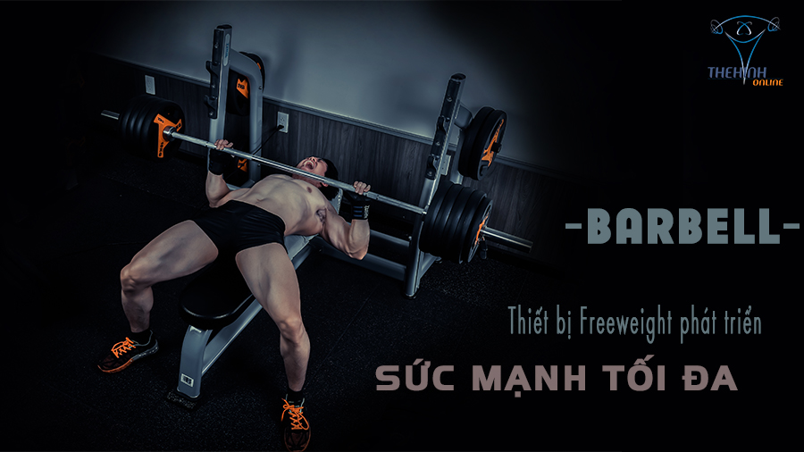 BARBELL – Thiết bị free weight phát triển sức mạnh tối đa.