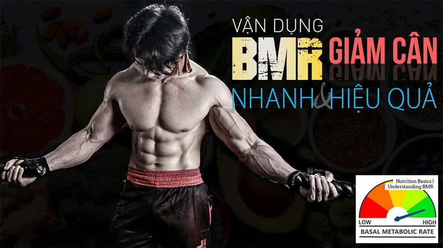 Ý nghĩa BMR và cách tính BMR để giảm cân nhanh an toàn - THOL