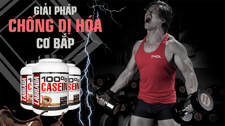 Casein - Protein hấp thu chậm phục hồi phát triển cơ ban đêm - THOL