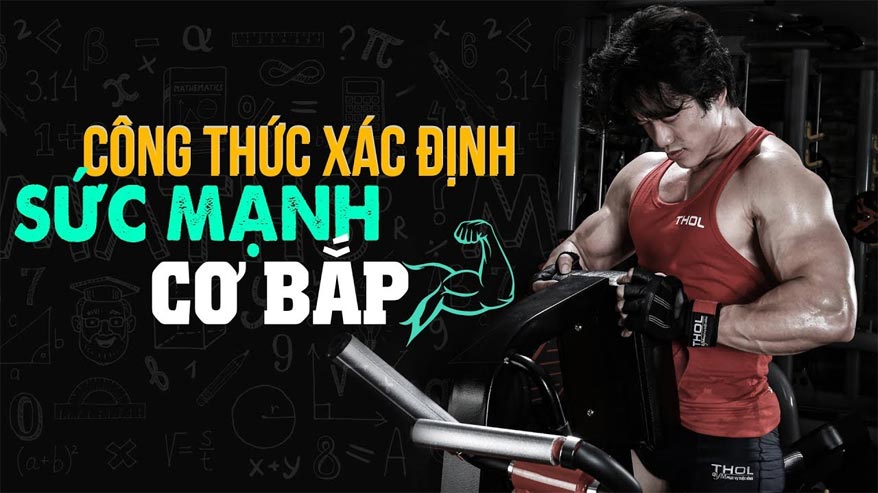 Những điều cần biết về 1RM đối với gymer - THOL