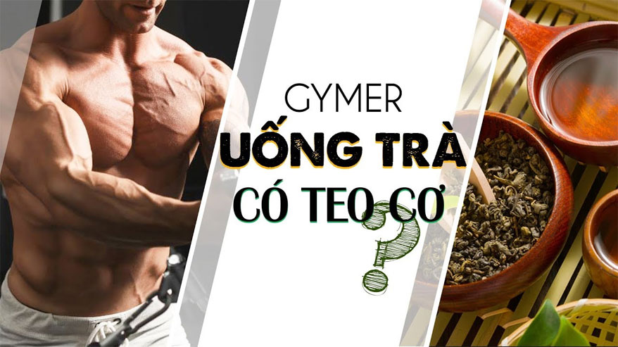 Gymer uống trà có teo cơ bắp và mất ngủ ?