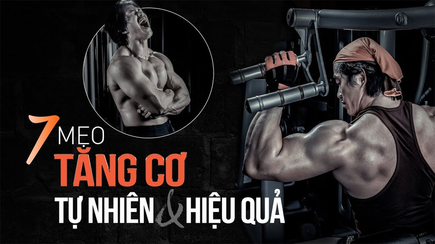 Mẹo tăng cơ  tăng cân nhanh 1 cách tự nhiên cho sinh viên - THOL