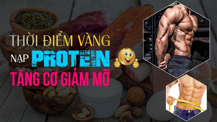 Những điều cần biết khi ăn protein, TPBS nhiều protein