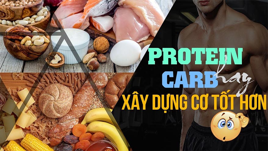 Carb và protein cái nào tốt hơn cho xây dựng cơ bắp - THOL