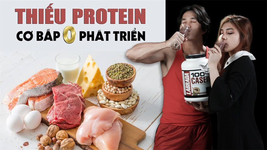 Tầm quan trọng của protein đối với sức khỏe và cơ bắp - THOL