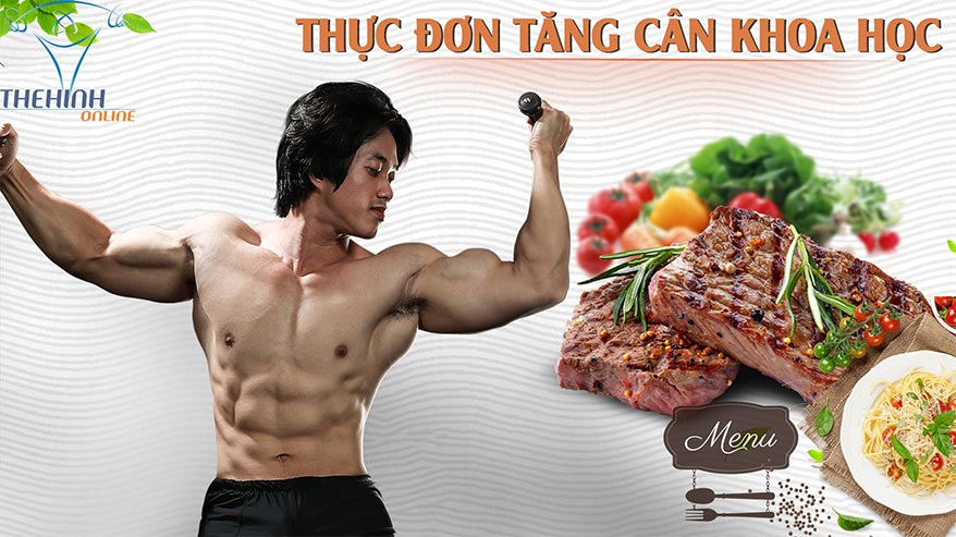 Thực đơn tăng cân khoa học hợp lý dễ áp dụng - THOL