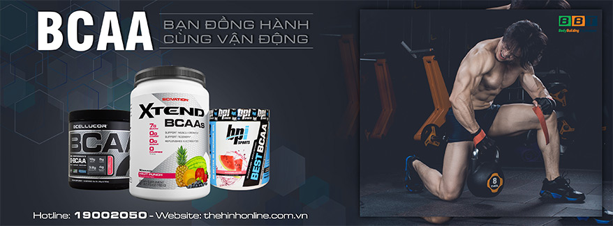 BCAA hỗ trợ phục hồi tập luyện tốt hơn - THOL