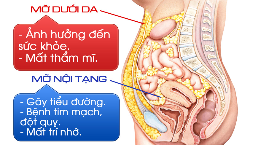 Đồ ngọt gây tăng mỡ cơ thể nhất là mỡ bụng