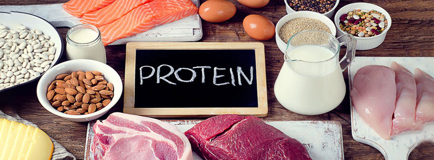 Một người cần bao nhiêu protein mỗi ngày - THOL