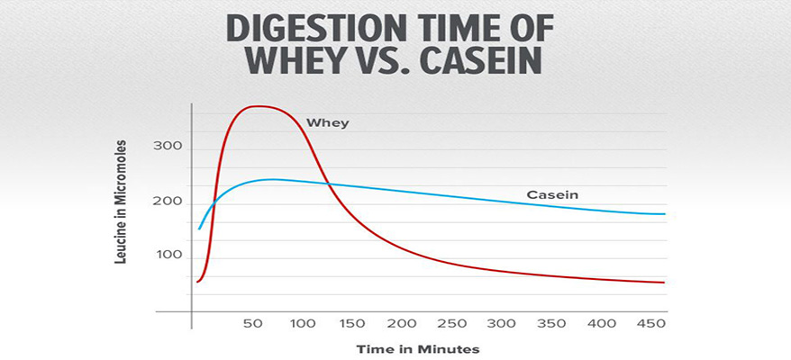 whey-vs-casein